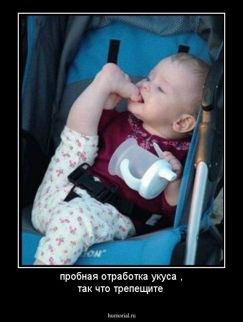 пробная отработка укуса , так что трепещите