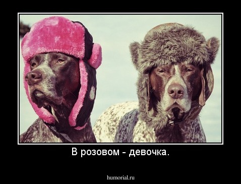 В розовом - девочка.