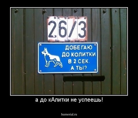 а до кAлитки не успеешь!