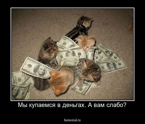 Мы купаемся в деньгах. А вам слабо?