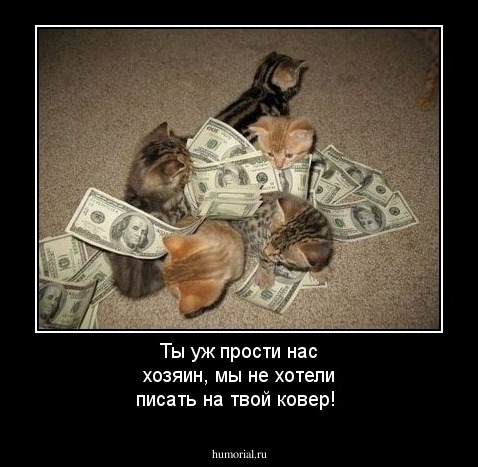 Ты уж прости нас хозяин, мы не хотели писать на твой ковер!