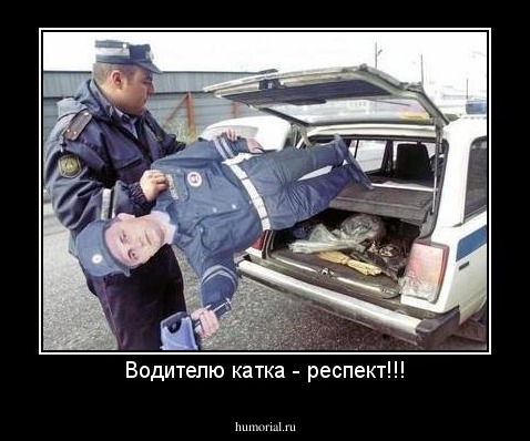 Водителю катка - респект!!!