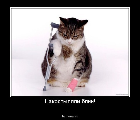Накостыляли блин!