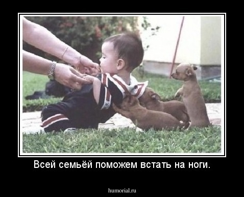 Всей семьёй поможем встать на ноги.