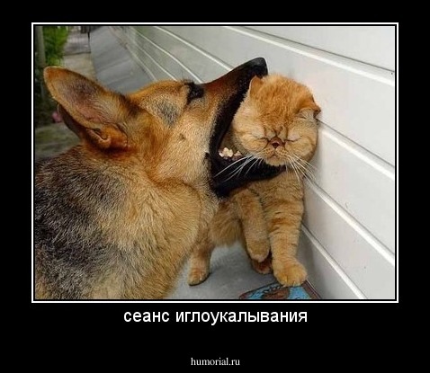 сеанс иглоукалывания