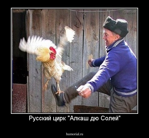 Русский цирк "Алкаш дю Солей"