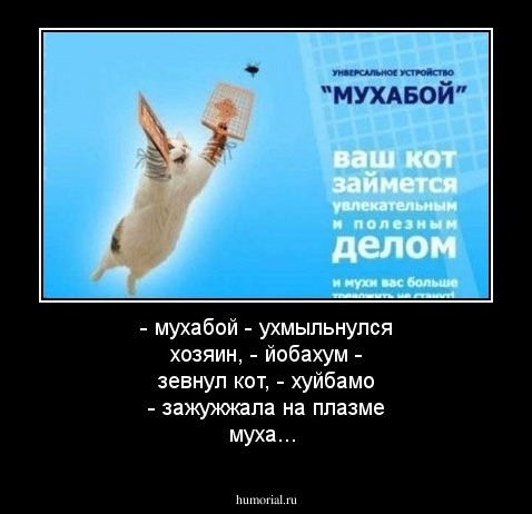- мухабой - ухмыльнулся хозяин,
- йобахум - зевнул кот,
- хуйбамо - зажужжала на плазме муха...