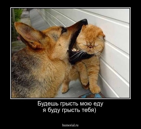 Будешь грысть мою еду я буду грысть тебя)
