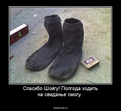 Спасибо Шойгу! Полгода ходить на свиданье смогу.
