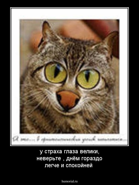 у страха глаза велики, неверьте , днём  гораздо  легче и спокойней 