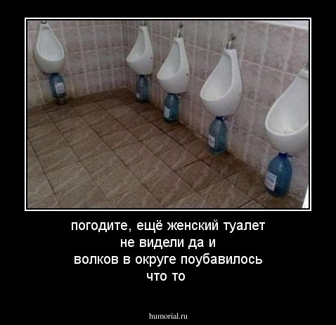 погодите, ещё женский туалет не видели да и  волков в округе поубавилось что то 