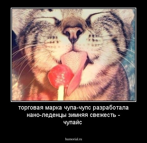 торговая марка чупа-чупс разработала нано-леденцы зимняя свежесть - чупайс