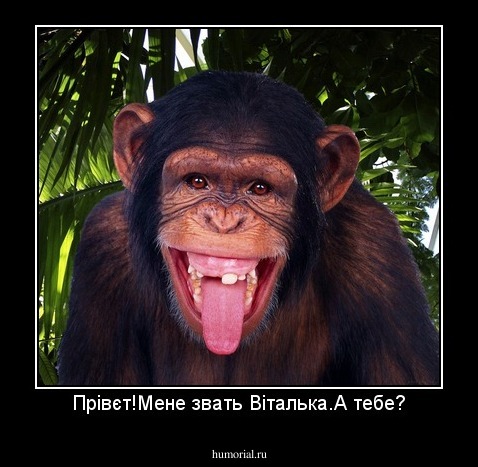 Прівєт!Мене звать Віталька.А тебе?