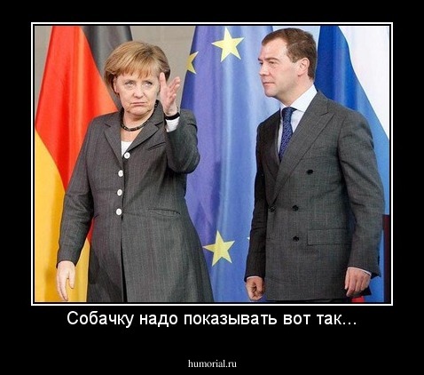 Собачку надо показывать вот так...