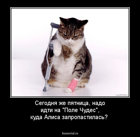 Сегодня же пятница, надо идти на "Поле Чудес", куда Алиса запропастилась?