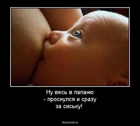 Ну весь в папаню - проснулся и сразу за сиську!