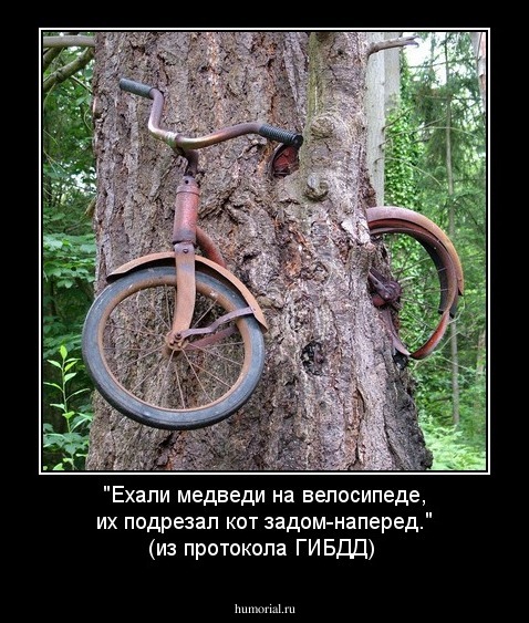 "Ехали медведи на велосипеде, их подрезал кот задом-наперед." (из протокола ГИБДД)