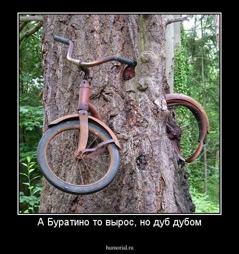 А Буратино то вырос, но дуб дубом