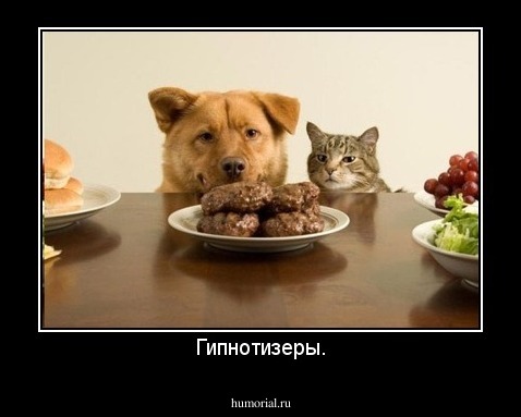 Гипнотизеры.