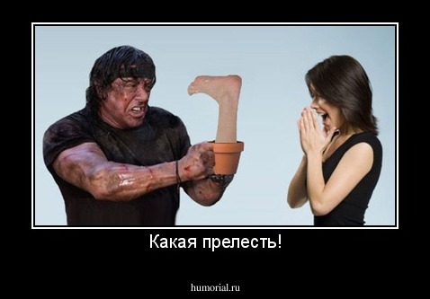 Какая прелесть!
