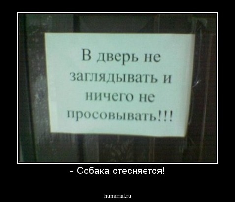 - Собака стесняется!