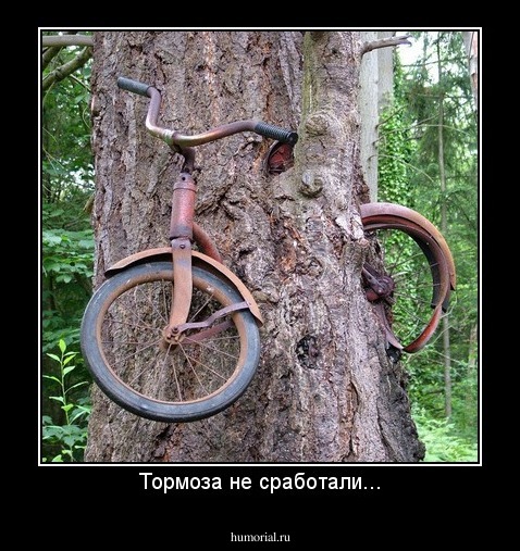 Тормоза не сработали...