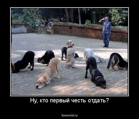 Ну, кто первый честь отдать?