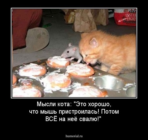 Мысли кота: "Это хорошо, что мышь пристроилась! Потом ВСЁ на неё свалю!"