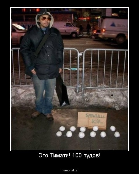 Это Тимати! 100 пудов!