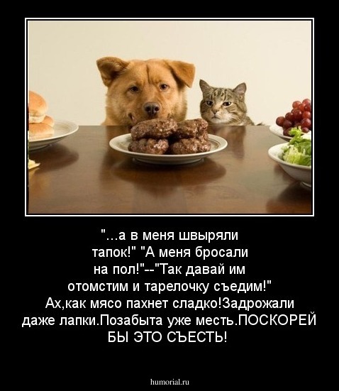 "...а в меня швыряли тапок!" "А меня бросали на пол!"--"Так давай им отомстим и тарелочку съедим!" Ах,как мясо пахнет сладко!Задрожали даже лапки.Позабыта уже месть.ПОСКОРЕЙ БЫ ЭТО СЪЕСТЬ!
