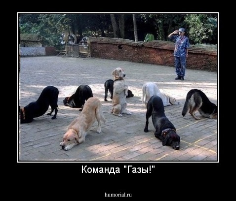 Команда "Газы!"