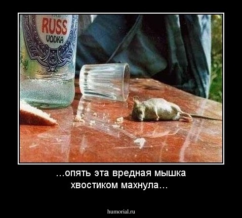 ...опять эта вредная мышка хвостиком махнула...