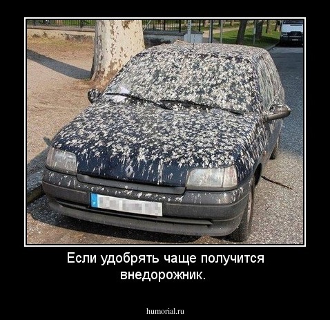 Если удобрять чаще получится внедорожник.