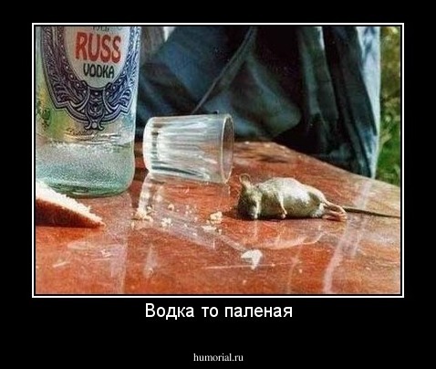 Водка то паленая