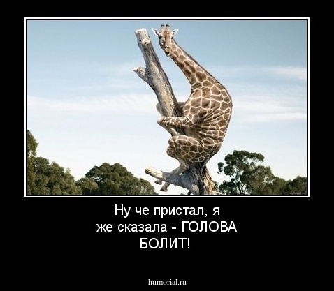 Ну че пристал, я же сказала - ГОЛОВА БОЛИТ!