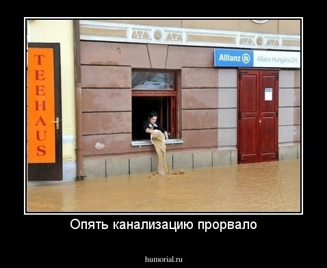 Опять канализацию прорвало