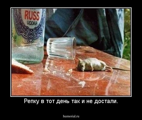 Репку в тот день так и не достали.