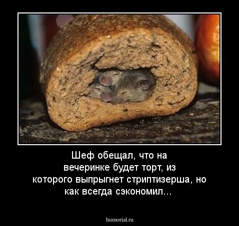 Шеф обещал, что на вечеринке будет торт, из которого выпрыгнет стриптизерша, но как всегда сэкономил...