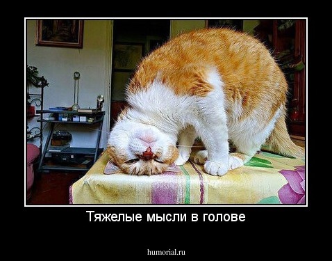 Тяжелые мысли в голове