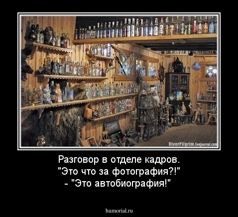 Разговор в отделе кадров. "Это что за фотография?!" - "Это автобиография!"