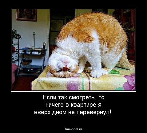 Если так смотреть, то ничего в квартире я вверх дном не перевернул!