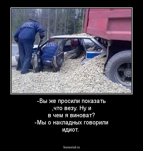-Вы же просили показать ,что везу. Ну и в чем я виноват?
-Мы о накладных говорили идиот. 