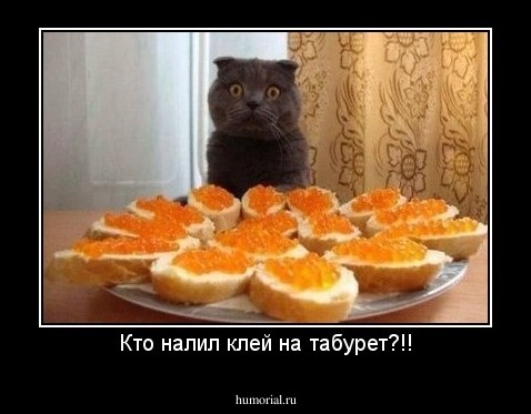 Кто налил клей на табурет?!!