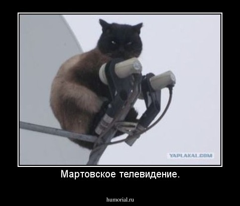 Мартовское телевидение.