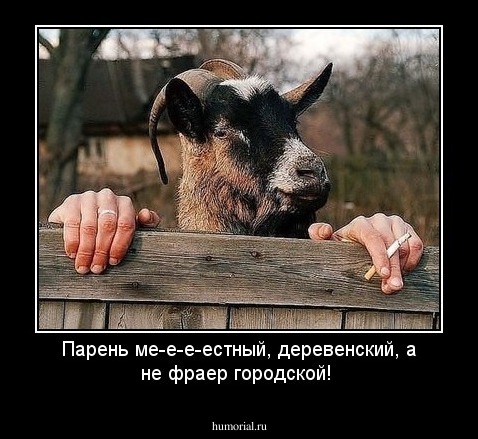 Парень ме-е-е-естный, деревенский, а не фраер городской!