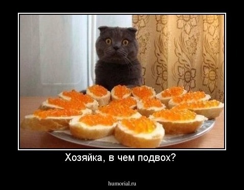 Хозяйка, в чем подвох? 