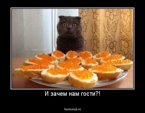 И зачем нам гости?!
