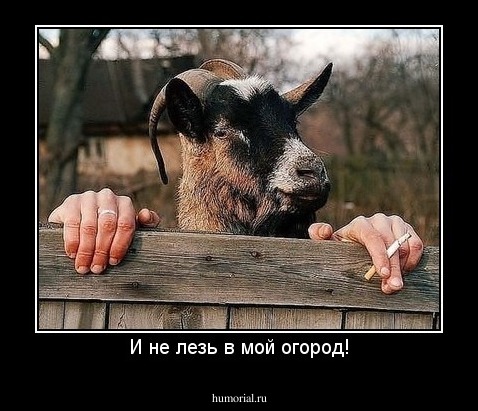 И не лезь в мой огород!