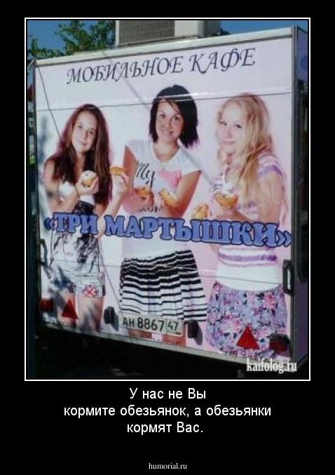 У нас не Вы кормите обезьянок, а обезьянки кормят Вас.