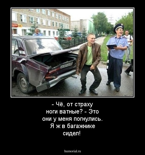  - Чё, от страху ноги ватные?
 - Это они у меня погнулись. Я ж в багажнике сидел!